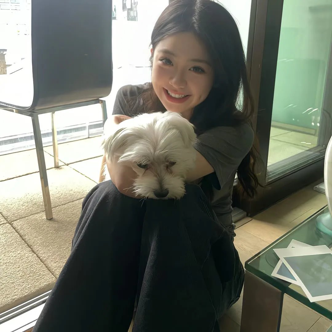 我的英雄学院第三季